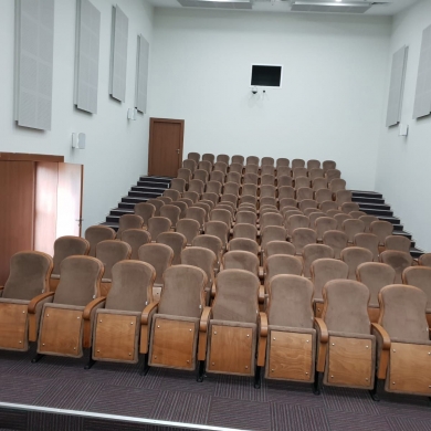 Konferans Salonu Sandalyesi