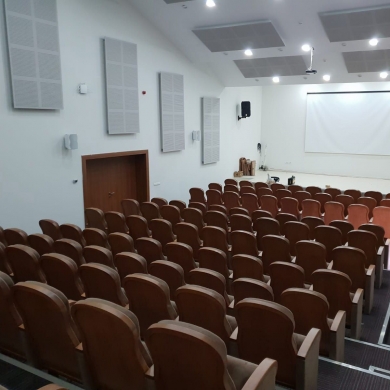Konferans Salonu Sandalyesi
