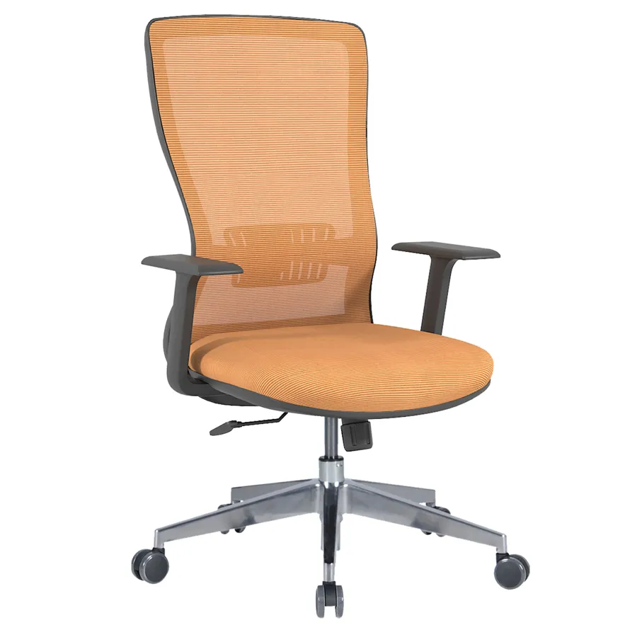casella arya 21 arya çalışma / toplantı koltuğu metal (alüminyum) ayak · sabit kolçak · multi tilt mekanizma · bel destekli